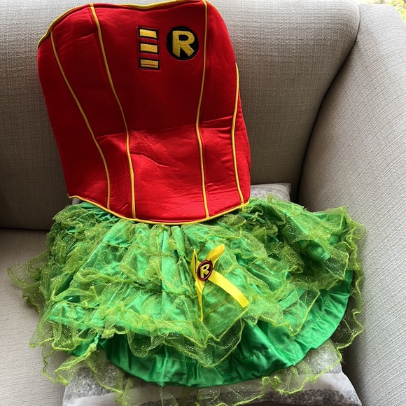 Batman and Robin Halloween Costume like new - Picture 7 of 9
